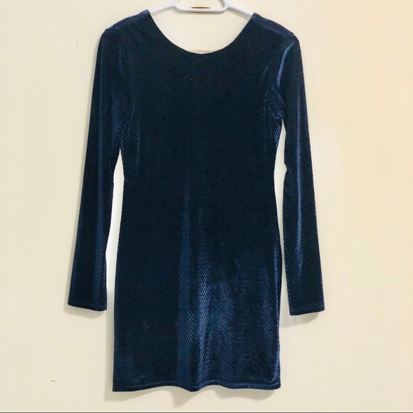 Black Swan Velvet Dress - Picture 5 of 8